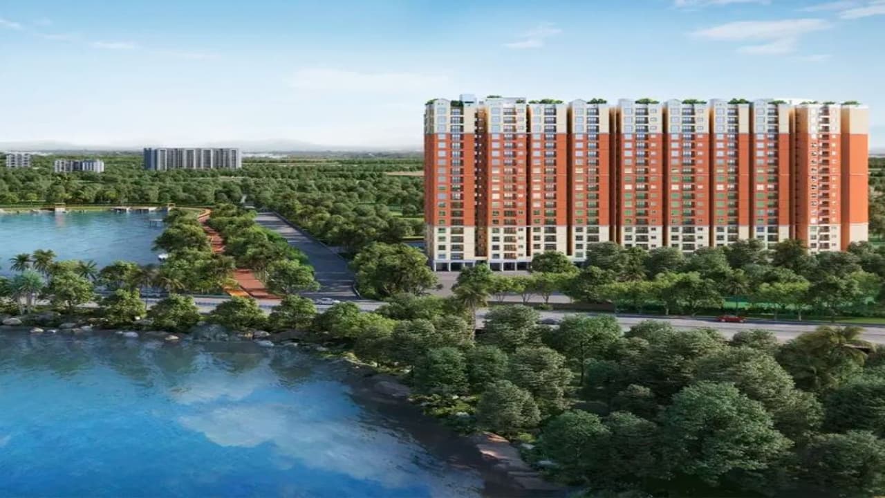 The Lake Edge 1