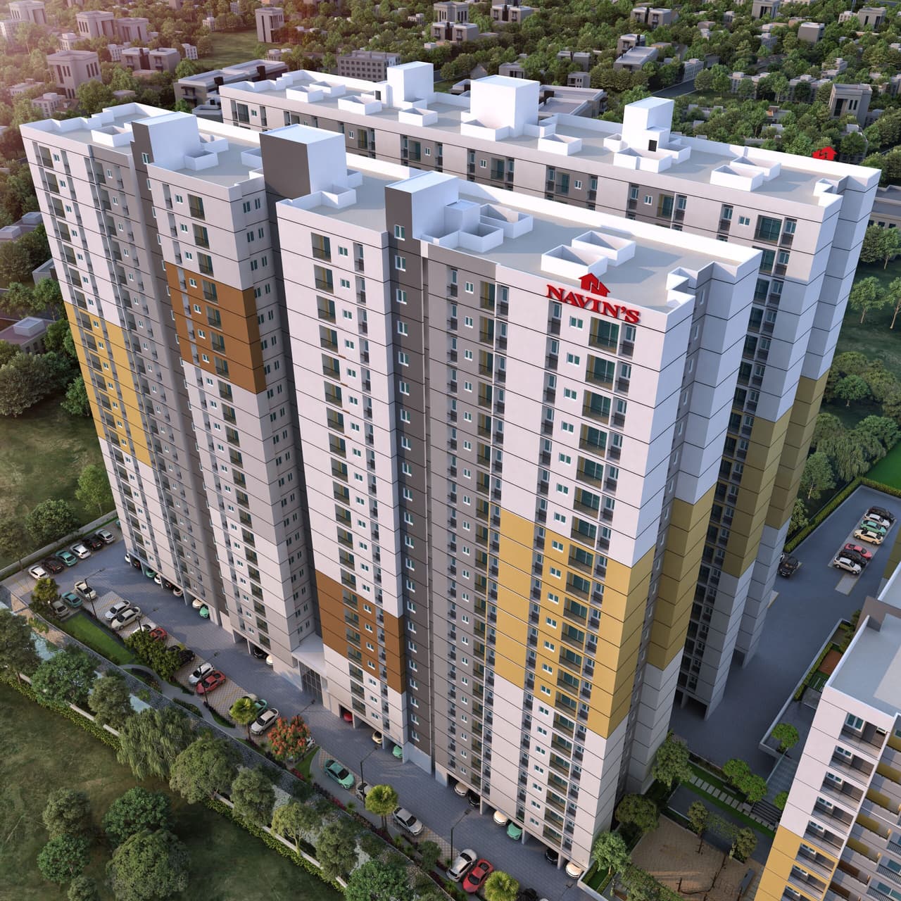 Navin's Starwood - Cedar 2