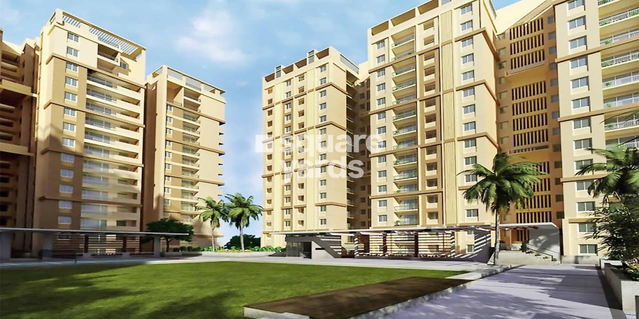 PACIFICA AURUM β PHASE 3 2